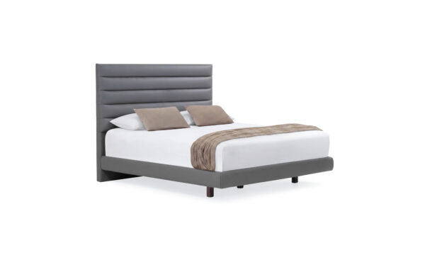 Cama Dokka Apolo Tap