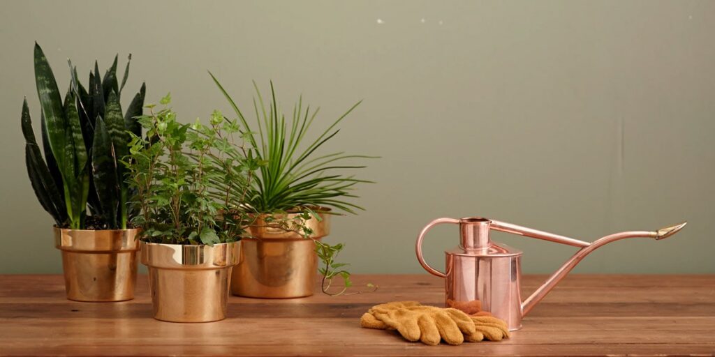 Plantas verdes en materas doradas y una regadera de cobre sobre una mesa de madera, con unos guantes de trabajo