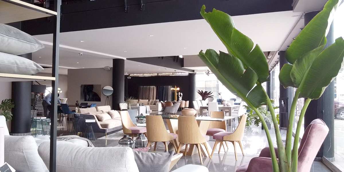 Interior de un showroom de Aristas con comedores, sofás blancos y una planta de hojas grandes en primer plano